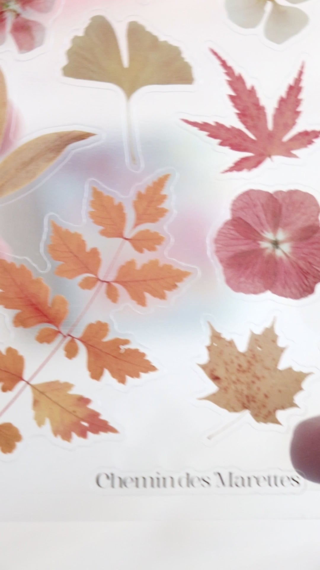 Planche de stickers – Cosy