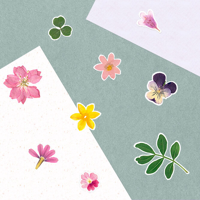 Planche de stickers - Paradis