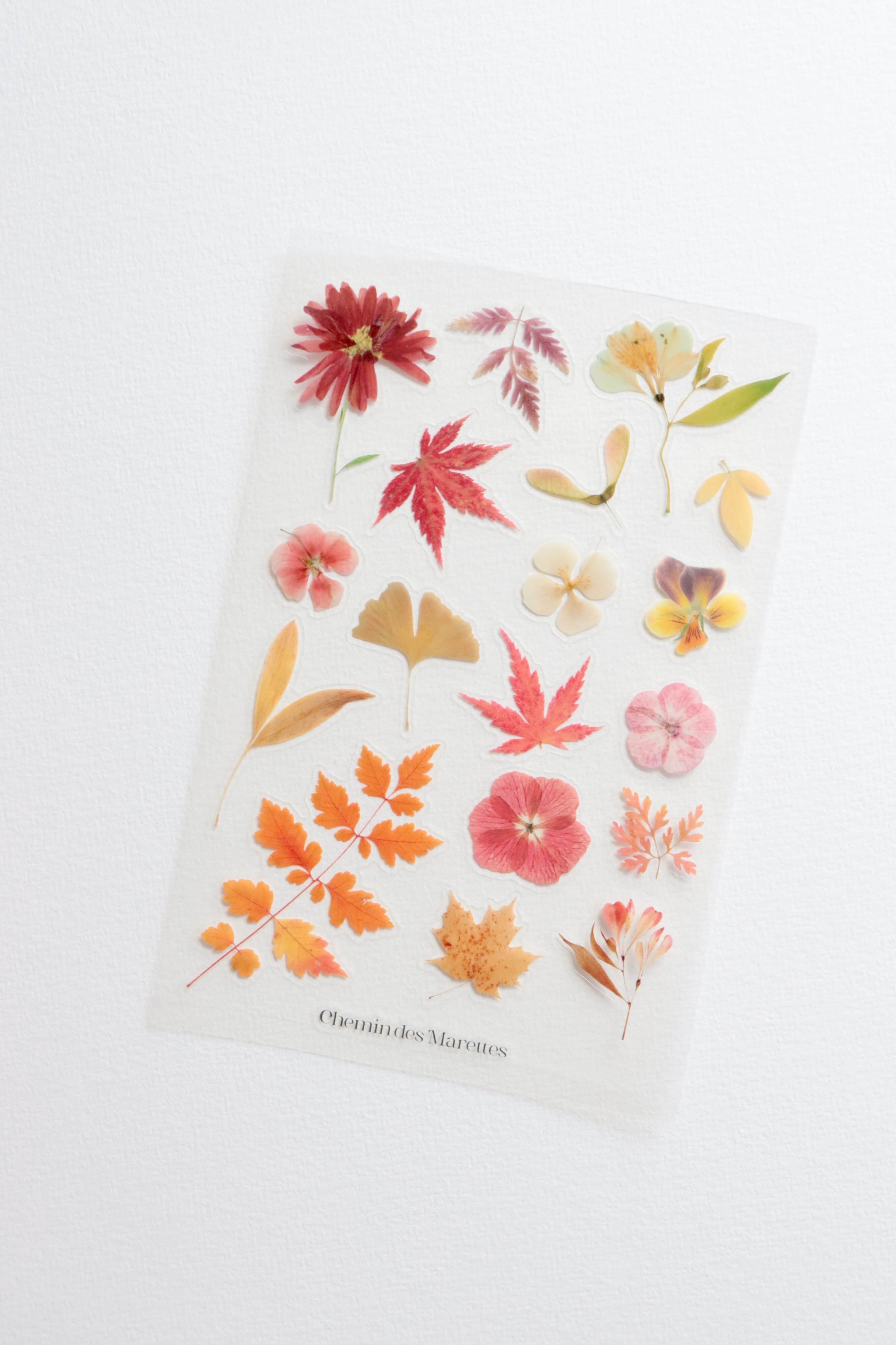 Planche de stickers fleurs – Cosy