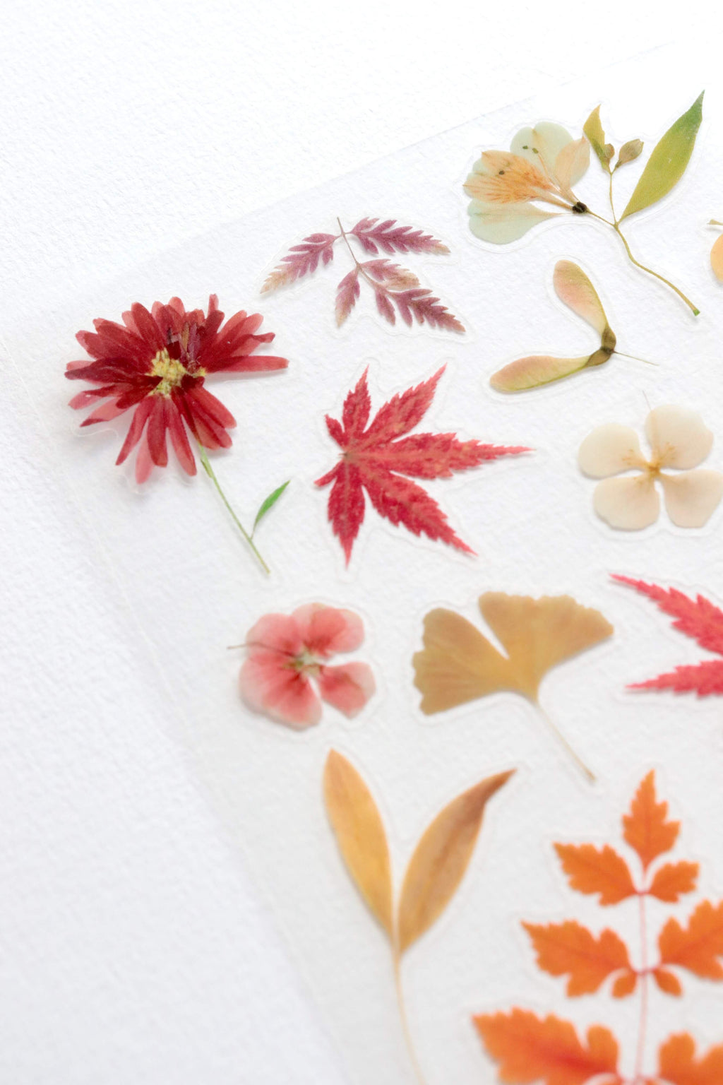 Planche de stickers fleurs – Cosy