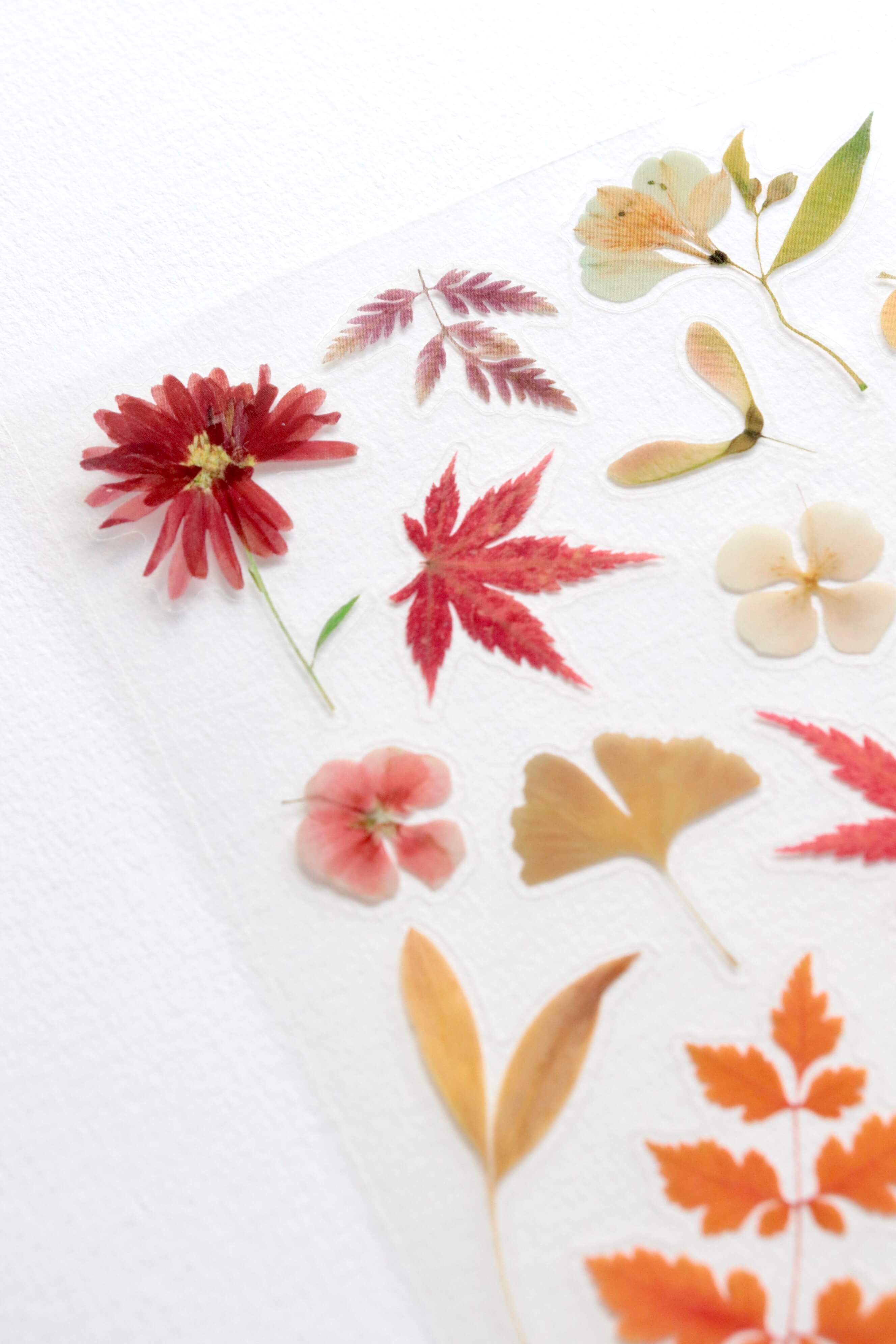 Planche de stickers fleurs – Cosy