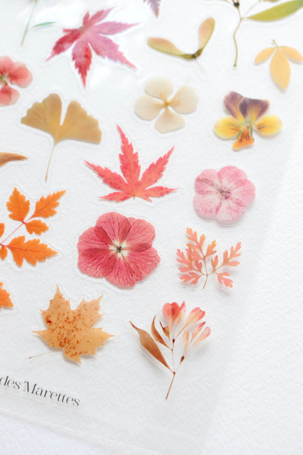 Lot Equinoxe - 2 planches de stickers