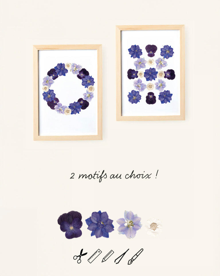 Kit DIY herbier - bleu