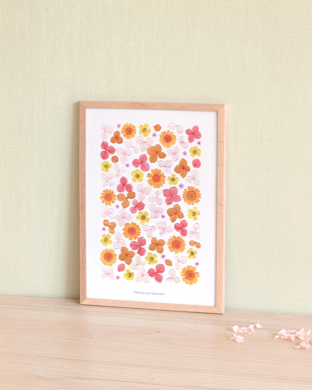Herbier Tangerine