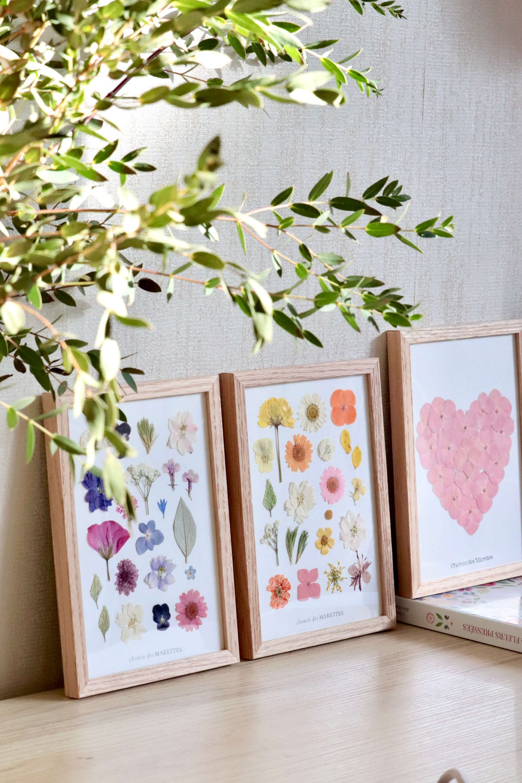 Herbier Petit Coeur rose