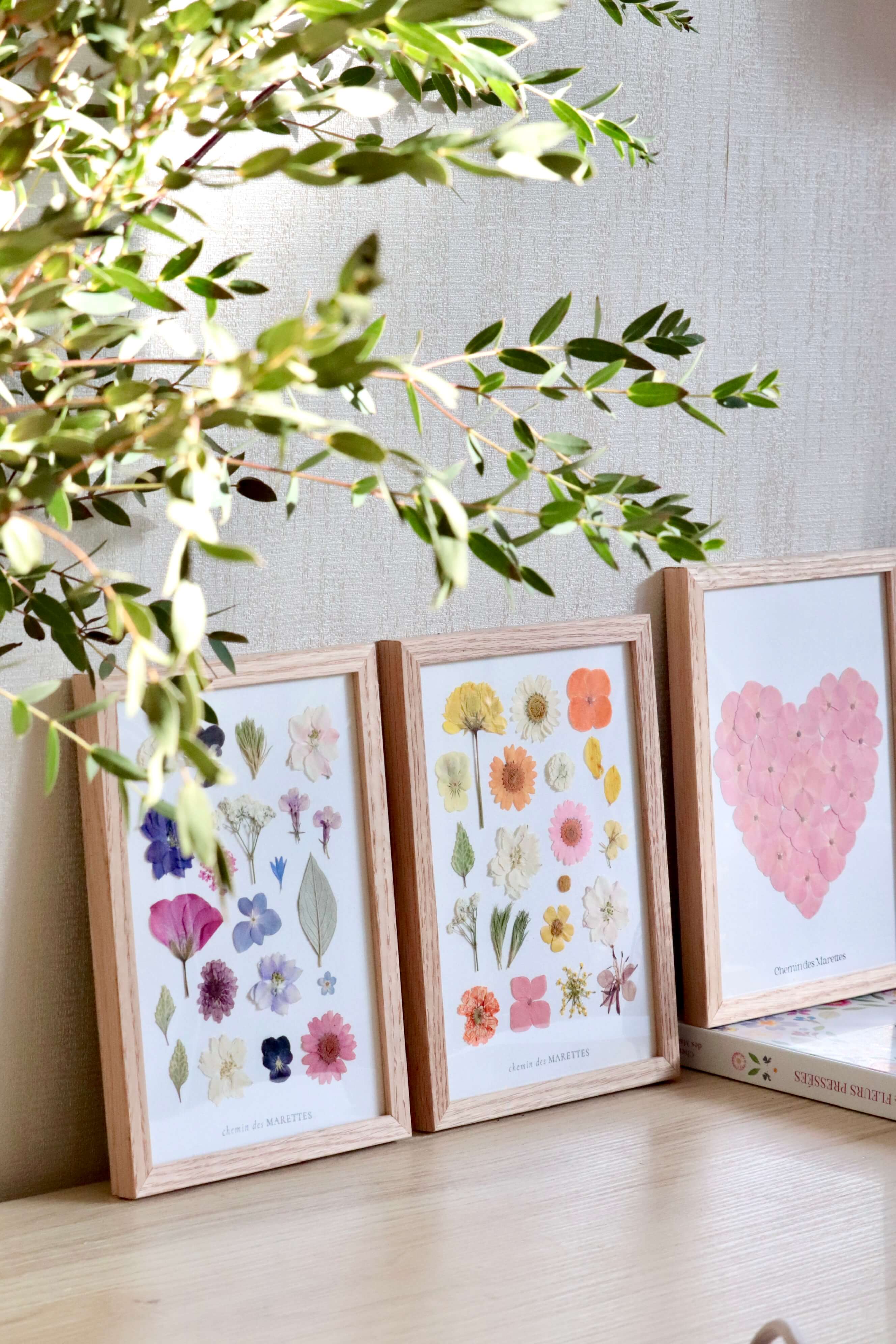 Herbier Petit Coeur rose